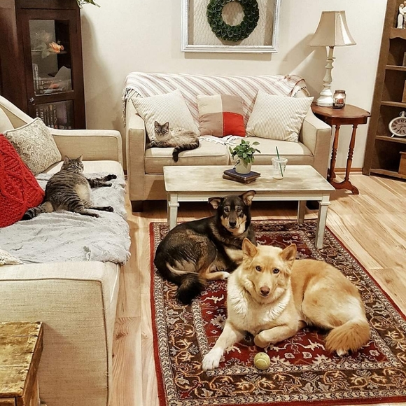 Meet Your Posher, Courtney - Picture 9 of 9